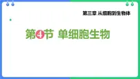 人教版（2024）七年级上册（2024）第四节 单细胞生物教课内容课件ppt