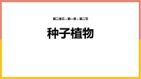 初中生物人教版（2024）七年级上册（2024）第二节 种子植物教学演示课件ppt