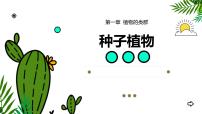 初中生物人教版（2024）七年级上册（2024）第二节 种子植物课堂教学ppt课件