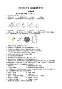 湖南省益阳市沅江市期中联考2024-2025学年七年级上学期11月期中生物试题