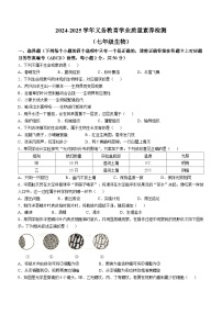 山东省德州市陵城区2024-2025学年七年级上学期期中生物学试题