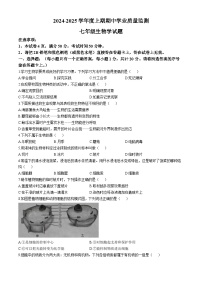 河南省漯河市临颍县2024-2025学年七年级上学期期中生物试题