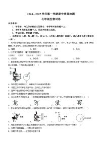 河南省洛阳市宜阳县2024-2025学年七年级上学期期中生物学试题