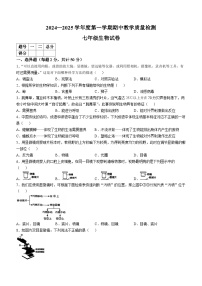 河北省邯郸市2024-2025学年七年级上学期期中生物试题