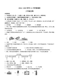 河南省洛阳市洛宁县2024-2025学年八年级上学期期中生物学试题(无答案)