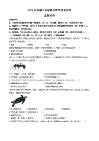 河南省南阳市社旗县2024-2025学年八年级上学期期中生物试题