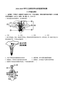 山东省德州市陵城区2024-2025学年八年级上学期期中生物学试题