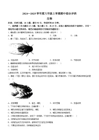 山西省吕梁市离石区多校2024-2025学年八年级上学期期中生物学试题(无答案)