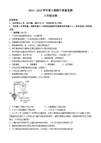 河南省周口市川汇区2024-2025学年八年级上学期期中生物学试题(无答案)