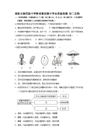 内蒙古准格尔旗民族中学教育集团2024-2025学年八年级上学期期中考试生物试题