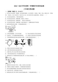 山东省枣庄市市中区2024～2025学年八年级(上)期中生物试题(含答案)