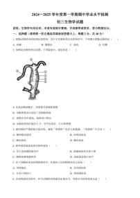 山东省淄博市张店区2024～2025学年八年级(上)期中生物试题(含答案)