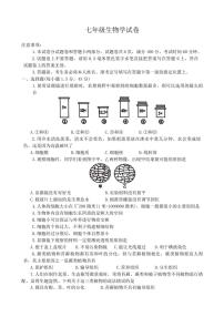 河南省洛阳市西工区2024～2025学年七年级(上)期中生物试卷(含答案)