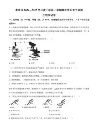 湖北省孝感市孝南区2024～2025学年七年级(上)期中生物试题(含答案)