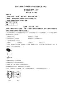 河南省商丘市名校协作2024～2025学年七年级(上)期中生物试题(含答案)