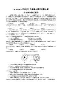 湖北省黄石市黄石市教联体2024-2025学年七年级上学期11月期中生物试题