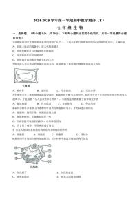 河南省周口市太康县2024～2025学年七年级(上)期中生物试卷(含答案)