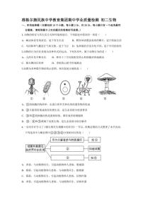 内蒙古准格尔旗民族中学教育集团2024～2025学年八年级(上)期中生物试卷(含答案)