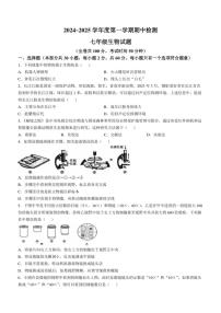 江苏省徐州市2024～2025学年七年级(上)期中生物试卷(含答案)