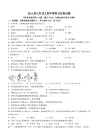 重庆市潼南区初中学校联考2024～2025学年七年级(上)期中生物试卷(含答案)