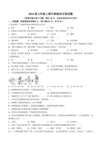 重庆市潼南区初中学校联考2024～2025学年七年级(上)期中生物试卷(含答案)