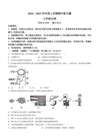 湖北省荆门市沙洋县2024～2025学年七年级(上)期中生物试卷(含答案)