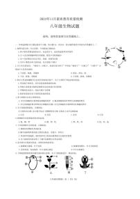 山东省菏泽市曹县2024～2025学年八年级(上)期中生物试卷(含答案)