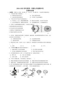 广东省揭阳市揭西县2024～2025学年九年级(上)期中生物试卷(含答案)