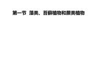 初中生物人教版（2024）七年级上册（2024）第一节 藻类、苔藓和蕨类试讲课ppt课件