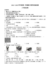 河北省保定市满城区2024-2025学年八年级上学期期中生物试题(无答案)