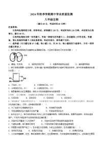 广西钦州市浦北县2024-2025学年八年级上学期期中生物学试题(无答案)