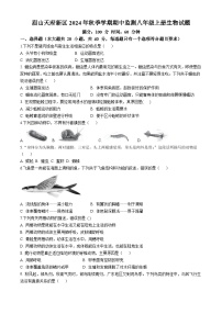 四川省眉山市天府新区清水初级中学2024-2025学年八年级上学期期中生物试题(无答案)