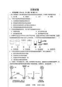 辽宁省鞍山市高新区2024-2025学年七年级上学期生物期中试卷