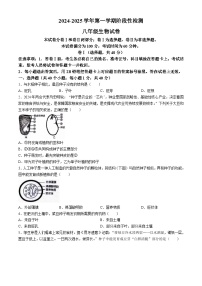 河北省保定市竞秀区2024-2025学年八年级上学期期中生物试题