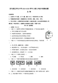 四川省泸州市龙马潭区泸化中学2024-2025学年九年级上学期11月期中生物试题