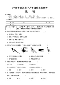 河南省南阳市淅川县2024-2025学年八年级上学期期中阶段调研生物试卷