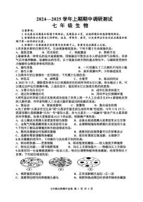 河南省三门峡市渑池县2024-2025学年七年级上学期期中学情检测生物试题