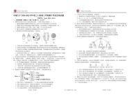 江西省宜春市丰城市第九中学2024-2025学年九年级上学期期中考试生物试题（日新班）