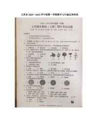 海南省文昌市2024—2025学年七年级上学期期中生物考试试题