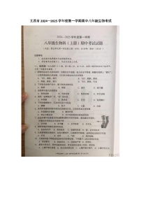 海南省文昌市2024—2025学年八年级上学期期中生物考试试题