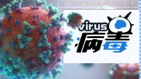 生物七年级上册（2024）第四节 病毒试讲课课件ppt