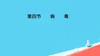 人教版（2024）七年级上册（2024）第四节 病毒一等奖ppt课件