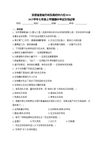 安徽省宣城市皖东南初中六校2024-2025学年七年级上学期期中考试生物试卷(含答案)