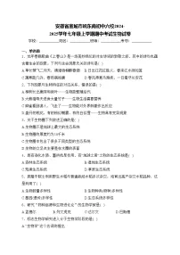 安徽省宣城市皖东南初中六校2024-2025学年七年级上学期期中考试生物试卷(含答案)