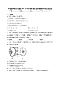 河北省承德市兴隆县2024-2025学年七年级上学期期中考试生物试卷(含答案)