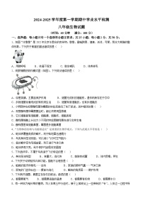 山东省聊城市东昌府区2024-2025学年八年级上学期期中生物学试题