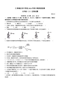 四川省眉山市仁寿县仁寿城区初中学校2024-2025学年七年级上学期期中生物试题(无答案)