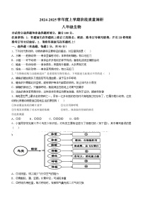 山东省临沂市平邑县2024-2025学年八年级上学期期中生物学试题(无答案)