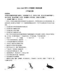 河南省长葛市2024-2025学年八年级上学期期中生物试题
