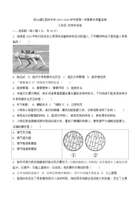 贵州省贵阳市观山湖区美的中学2024-2025学年七年级上学期11月期中生物试题